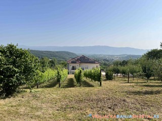 apartmani