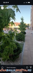 apartmani