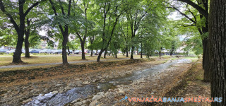 apartmani